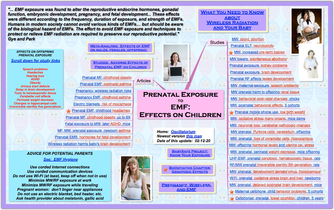 webassets/PrenatalExpEMF021320LG.jpg